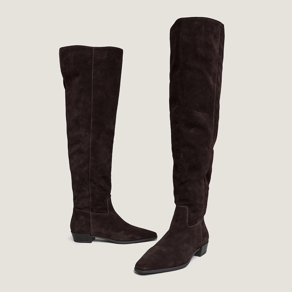 Bottes &agrave; bouts pointus en croute marron fonc&eacute; | PAPILLON | Jonak